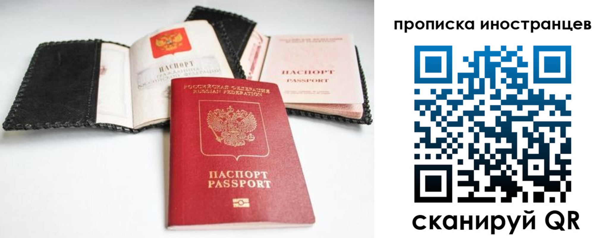 прописка паспорт в Лыткарино